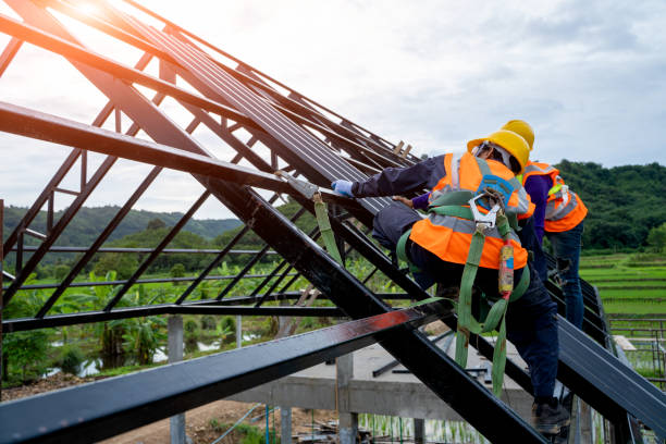 Best Local Roofing Companies  in Forsyth, MT