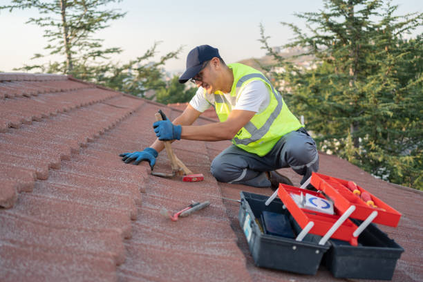 Best Roof Replacement Cost  in Forsyth, MT